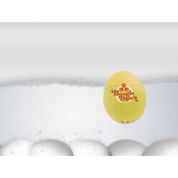 Brainstream - Chicken Dance PiepEi