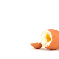 Brainstream - Cregg - Rot