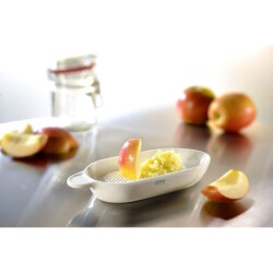 GEFU - Ingwer- und Obstreibe Fruttare