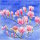 PPD - Servietten - Magnolia - 33 x 33 cm - 20 Stk