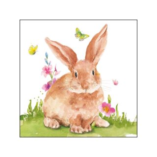 PPD - Servietten - Mr. Rabbit - 25 x 25 cm - 20 Stk