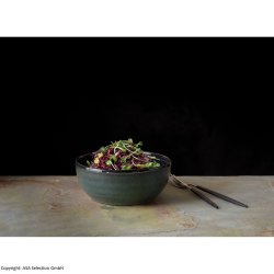 ASA - Pok&eacute; Salad Bowl - Ocean