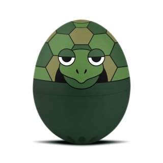 Brainstream - Schildkröten PiepEi