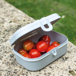 Koziol - Lunchbox - Pascal - Grey - S