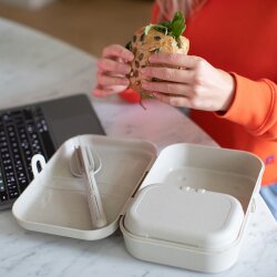 Koziol - Lunchbox - Pascal - mit Trennsteg - Desert Sand - L