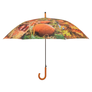 Esschert - Regenschirm - Herbstmotive