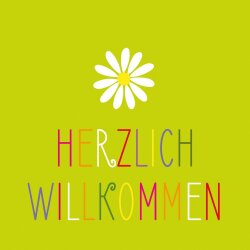 PPD - Servietten - Herzlich - 33 x 33 cm - 20 Stk