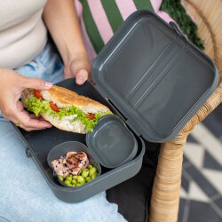 Koziol - Lunchbox - Pascal - mit Trennsteg - Grau - L