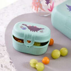 Koziol - Snackbox - Mini Rex - Sage Green