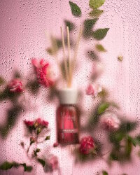 Millefiori - Raumduft - Ambra & Rosa - 250 ml