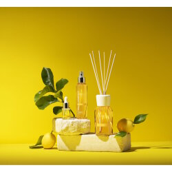 Millefiori - Raumduft - Riviera - 250 ml