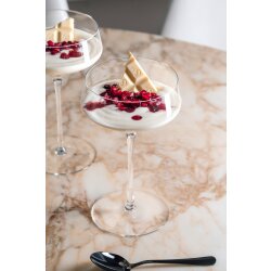 Leonardo - Champagnerschale - PUCCINI - 350 ml