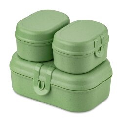 Koziol - Lunchbox - 3er Set - Pascal  - Leaf Green