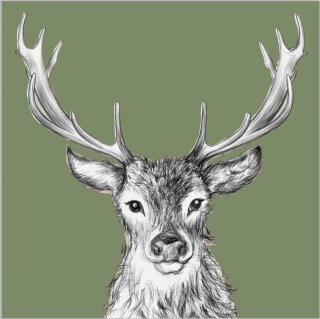 PPD - Servietten - Paul green - 25 x 25 cm - 20 Stk