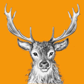 PPD - Servietten - Paul orange - 33 x 33 cm - 20 Stk