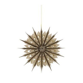 DIJK - Papierhänger - mit Glitzer - Schneeflockenförmig - 30 x 30 x 7 cm - champagne