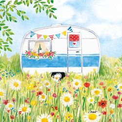 PPD - Servietten - Happy Camping - 33 x 33 cm - 20 Stk