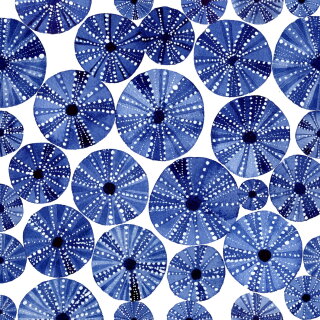 PPD - Servietten - Ocean Urchins- 33 x 33 cm - 20 Stk