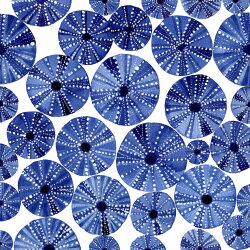 PPD - Servietten - Ocean Urchins- 33 x 33 cm - 20 Stk