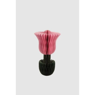 Arte - Papiertulpe - Livia - S