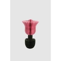Arte - Papiertulpe - Livia - S