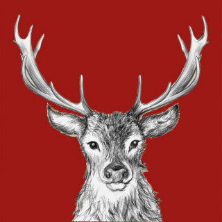 PPD - Servietten - Paul red - 33 x 33 cm - 20 Stk
