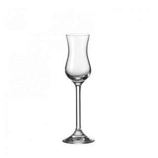 LEONARDO - Grappaglas - DAILY - 100ml - Glas