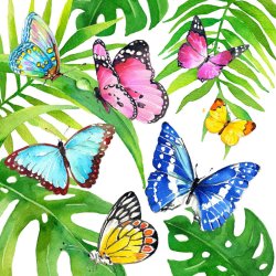 PPD - Servietten - Tropical Butterflies - 33 x 33 cm - 20...