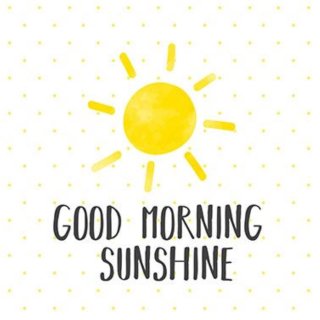 PPD - Servietten - Good Morning Sunshine - 33 x 33 cm