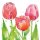 PPD - Servietten - Pink Tulips - 33 x 33 cm - 20 Stk