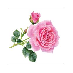 PPD - Servietten - Rosedal - 25 x 25 cm - 20 Stk